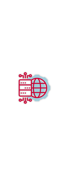 Symbol für Serverstandort und internationale Netzwerkanbindung bei Cloud-Diensten