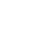 AI_Icon_2